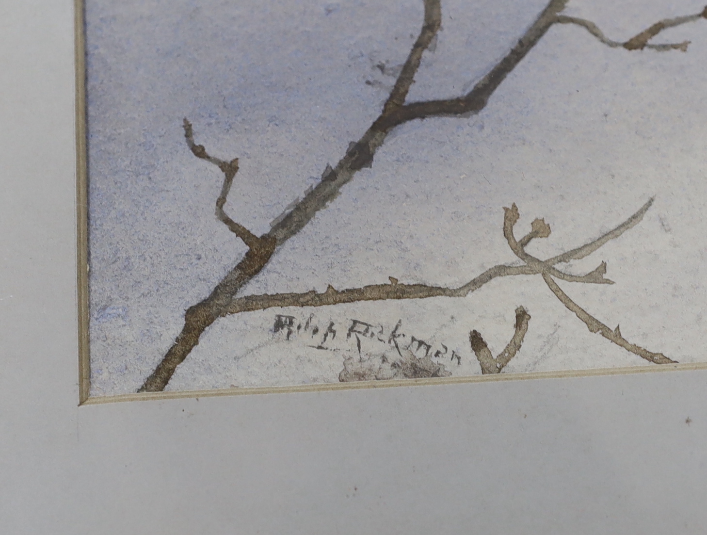 Philip Charles Rickman (1891-1983), watercolour, Pheasants in flight, signed, 26 x 36cm